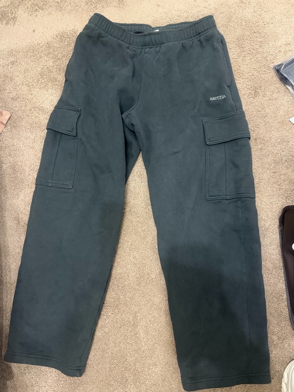 Aritzia Cargo Sweatpants in Dark Green